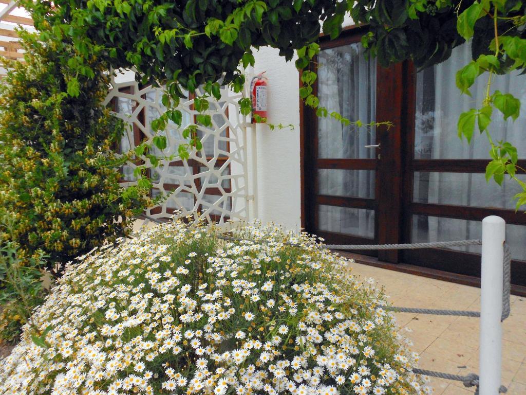 Aytas Hotel Ayvalı Exterior foto